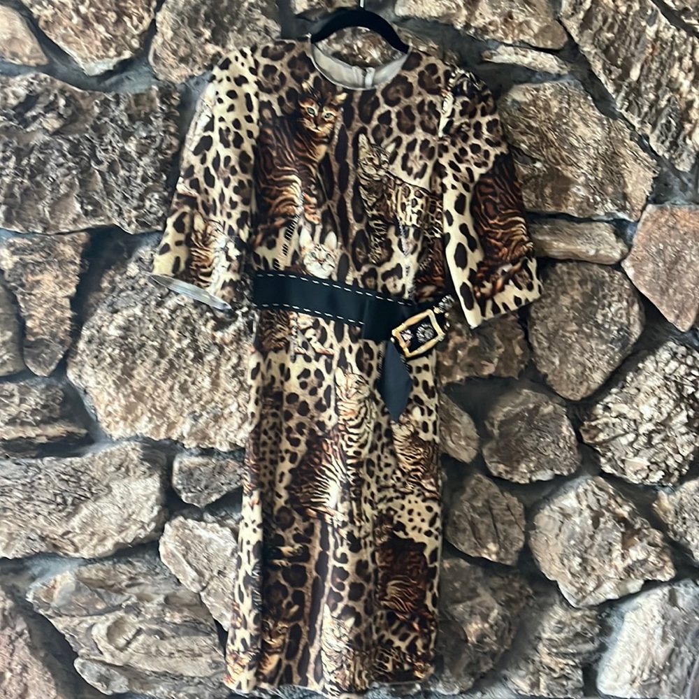 Dolce gabbana cat dress